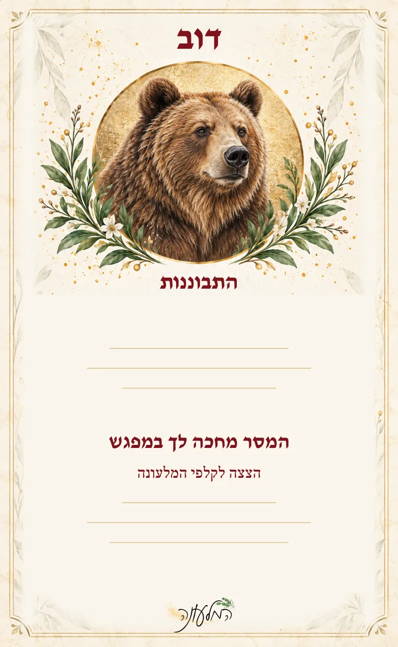הצצה לקלף: דוב, התבוננות. המסר מוסתר ומחכה במפגש